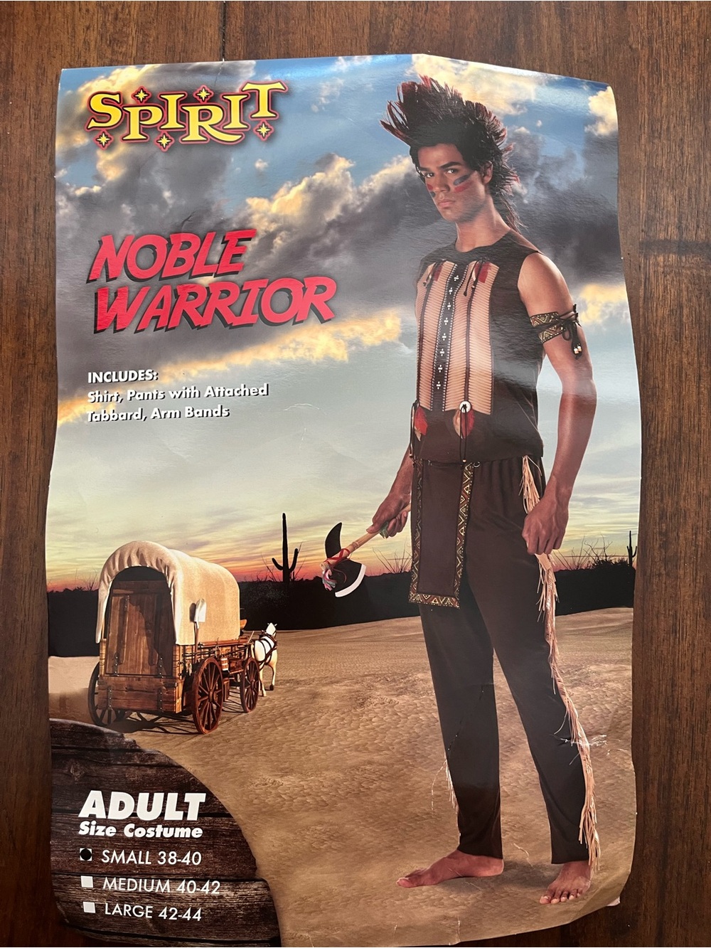 Noble Warrior Costume Adult S
